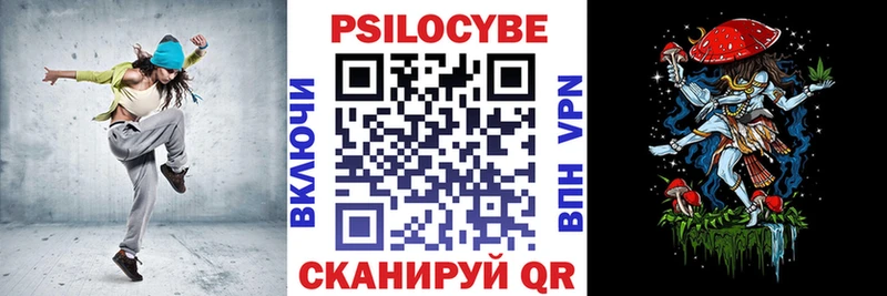 OMG как зайти  Сураж  Псилоцибиновые грибы ЛСД 