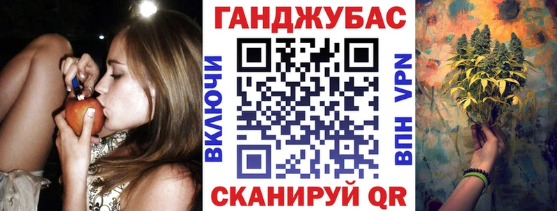 купить закладку  Сураж  ссылка на мегу маркетплейс  Марихуана сатива 